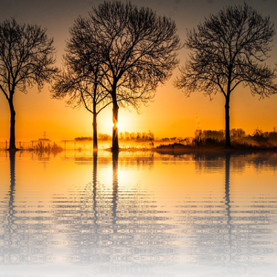 Sunset Vacations Sun Nature Tree  - 8926 / Pixabay