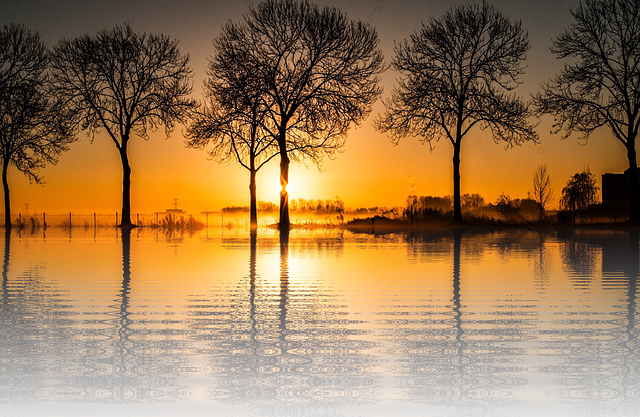Sunset Vacations Sun Nature Tree  - 8926 / Pixabay
