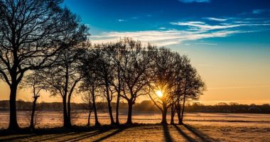 Nature Tree Dawn Landscape Sunrise  - PaulSchneider / Pixabay